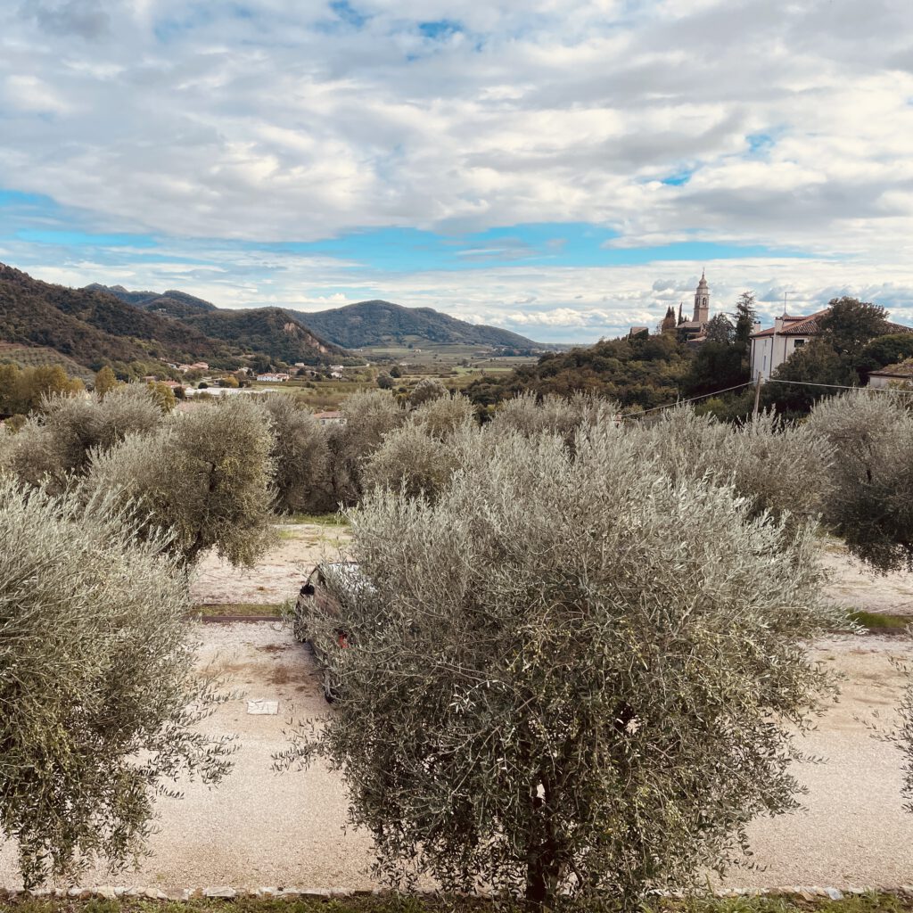 Blick vom Weingut Il Pianzio auf die Landschaft der Euganeischen Hügel und die Kirche Chiesa di Santa Maria Assunta vecchia.