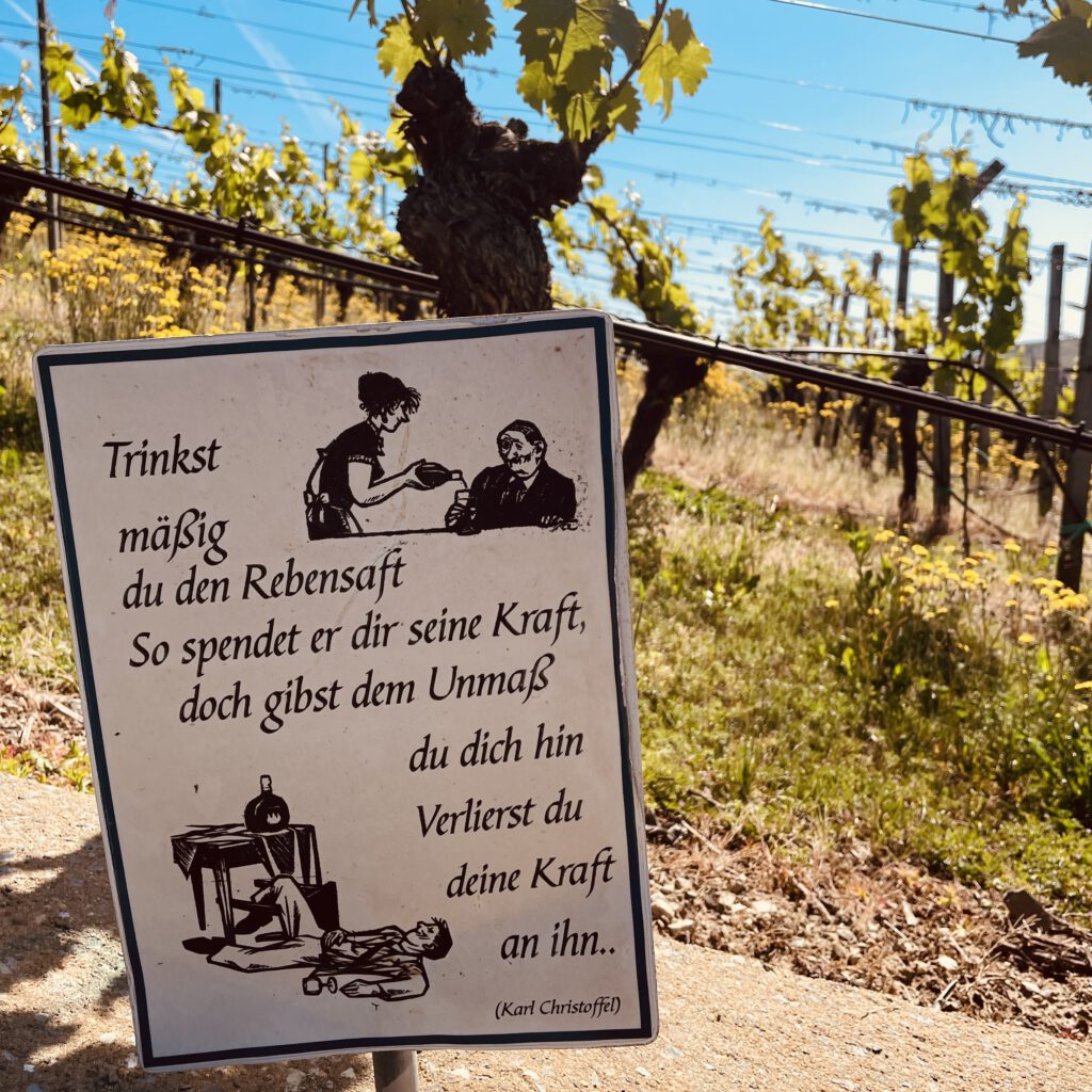 Ein Schild im Weinberg, das zur Mäßigung aufruft.