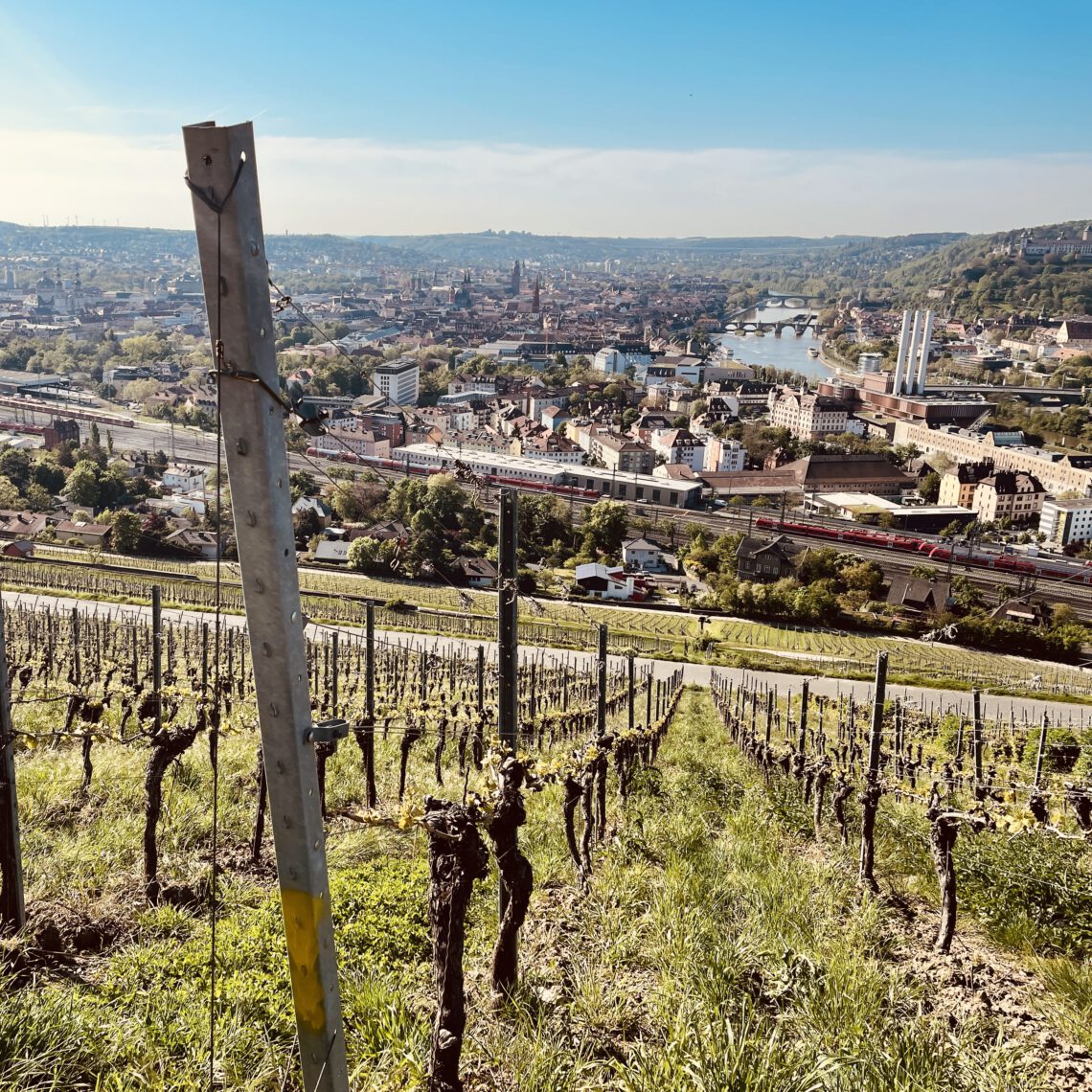 Blick vom Würzburger Stein auf die Stadt