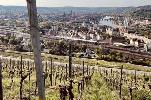 Blick vom Würzburger Stein auf die Stadt