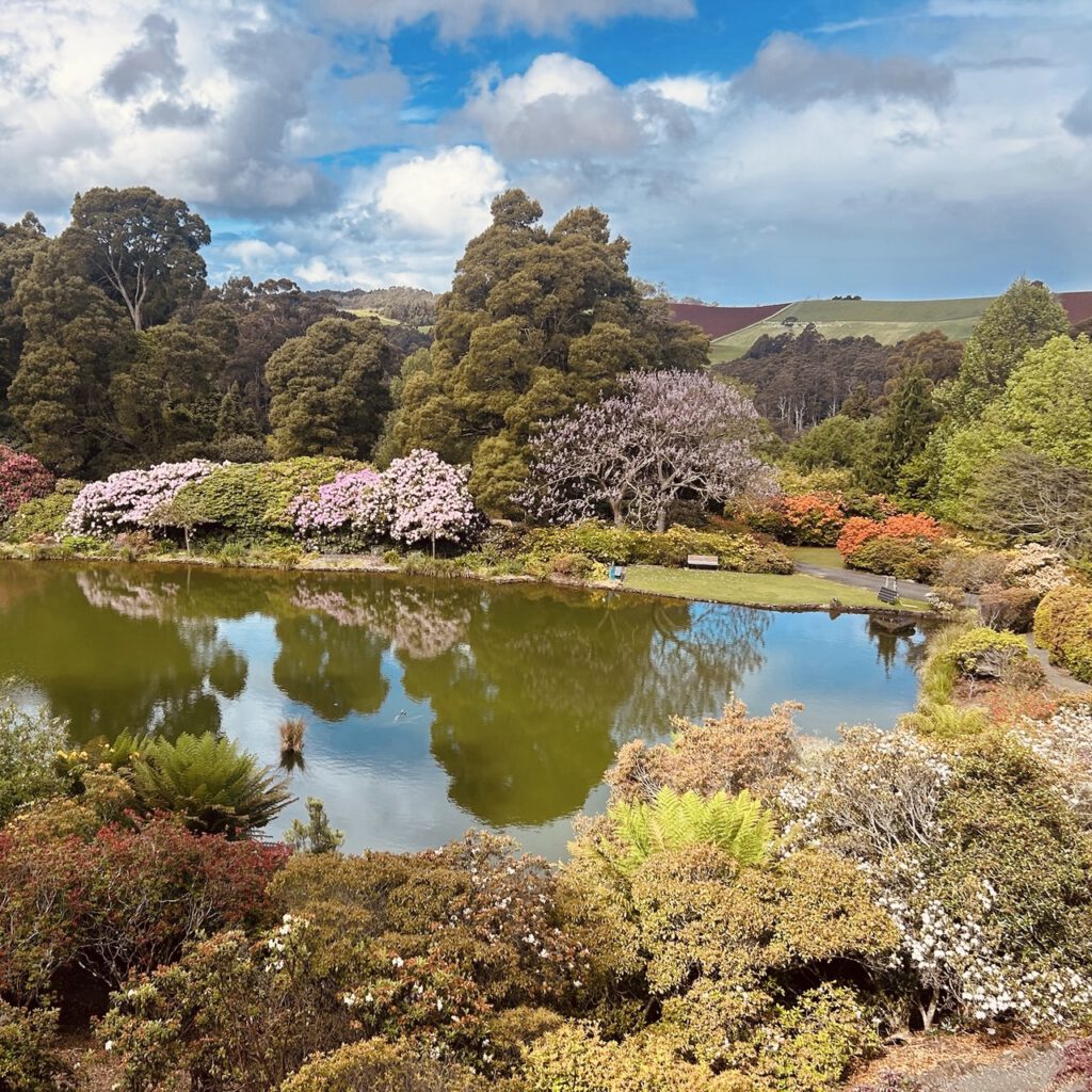 Grüne Landschaft auf Tasmanien. (Copyright: Torben Deutschmann)