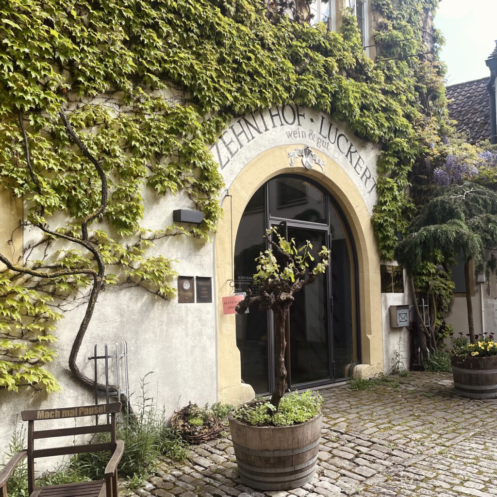 Das Weingut Zehnhof Luckert in Sulzfeld