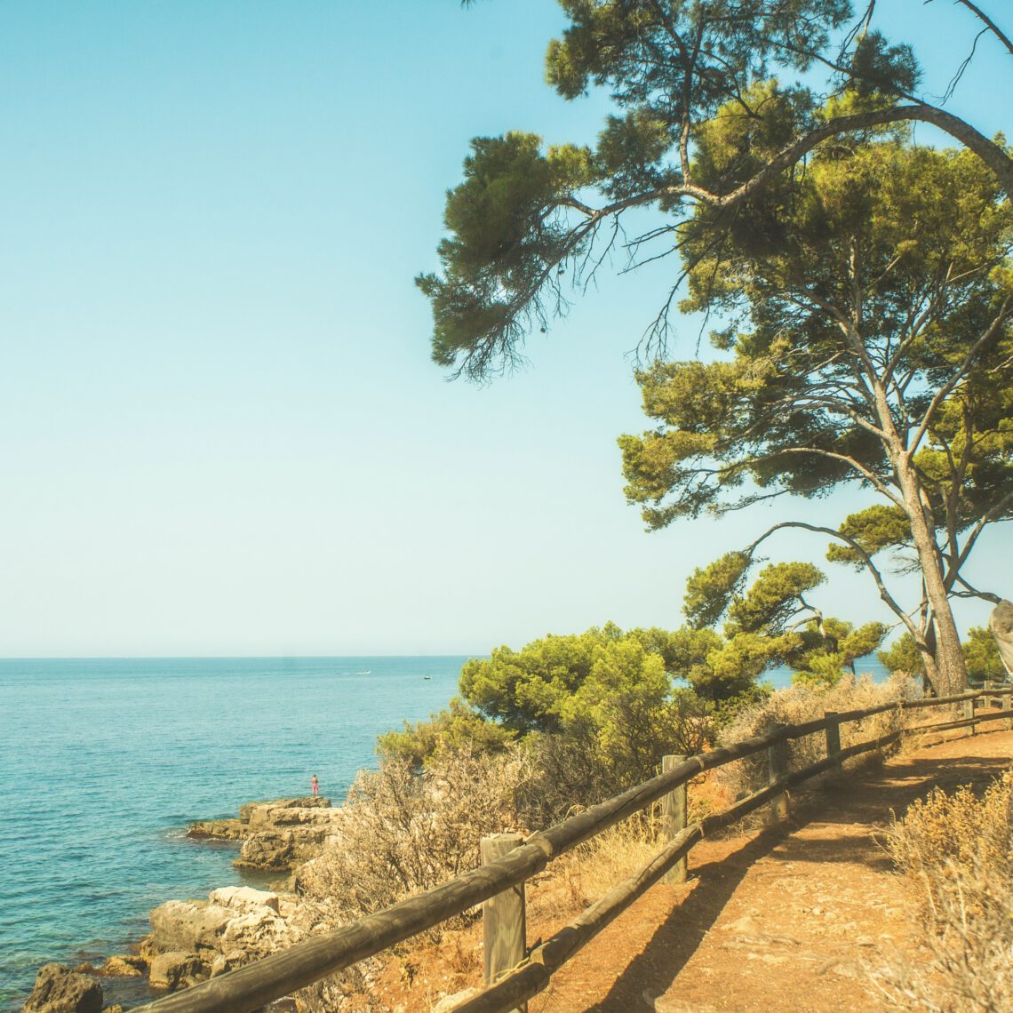 Bandol (Foto von Mr. Pierre (mrpierre_1) auf Unsplash)