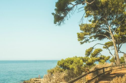 Bandol (Foto von Mr. Pierre (mrpierre_1) auf Unsplash)