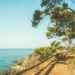Bandol (Foto von Mr. Pierre (mrpierre_1) auf Unsplash)