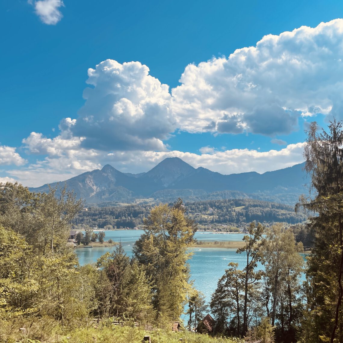 Blick über einen See Kärntens in Richtung Karawanken
